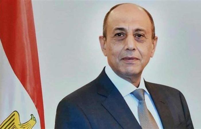 بعد اعتذار "الشيحي".. عباس حلمى رئيس حزب حماة الوطن