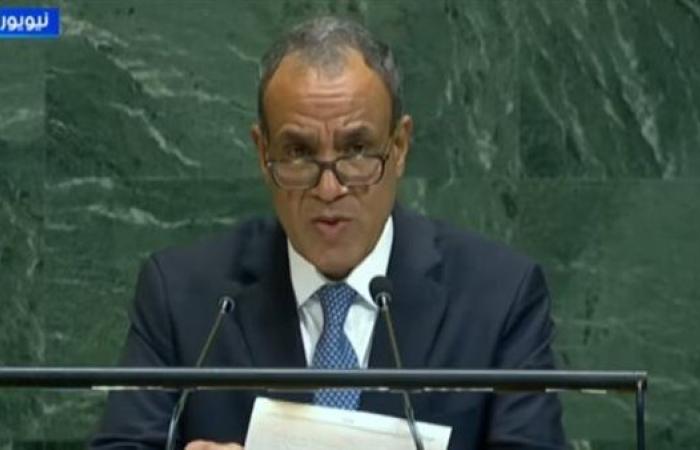 وزير الخارجية: مصر تدعم الحفاظ على مؤسسات الدولة السودانية وفي مقدمتها الجيش الوطني