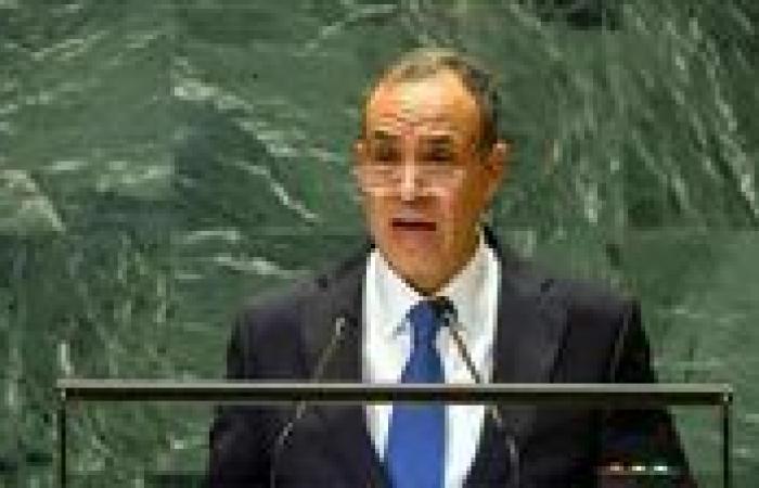 وزير الخارجية: ننظر بعين القلق والمسئولية لواقع المنطقة.. وأسس السلام أصبحت في مهب الريح