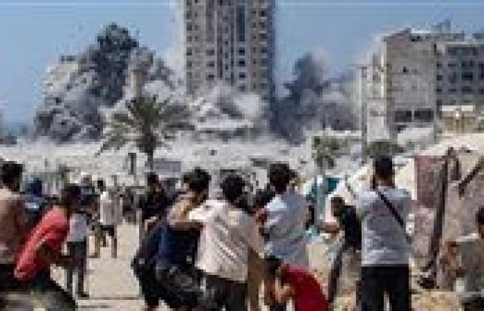 استاذ دراسات دولية: ويتكوف أكد لنتنياهو أنه حان الوقت لوقف الحرب في غزة