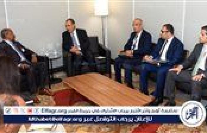 وزير الخارجية يلتقي نظيره الإريتري