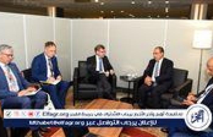 وزير الخارجية يلتقى مع نظيره الألماني
