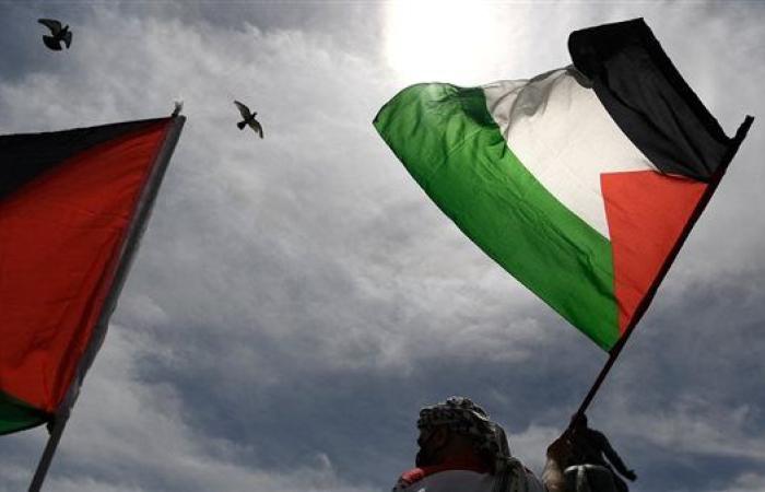 الأعلى للاقتصاد العربي الإفريقي: الاعترافات الأوروبية بدولة فلسطين ثمرة الصمود المصري