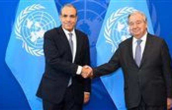 وزير الخارجية يلتقي السكرتير العام للأمم المتحدة