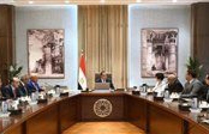 عاجل| رئيس الوزراء يؤكد اهتمام الحكومة بتطوير وتعزيز صناعة السيارات الكهربائية