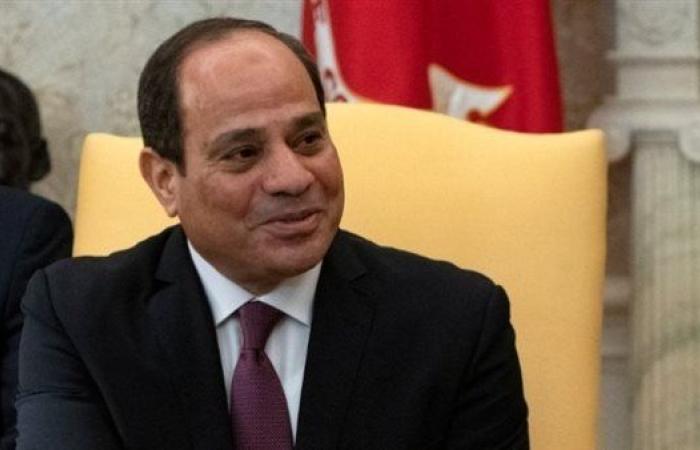 السيسي يشدد على دور بنك التصدير والاستيراد الأفريقي في تمكين الدول الأفريقية اقتصاديا
