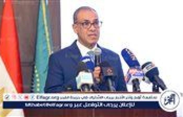 الخارجية: كلمة الدكتور بدر عبدالعاطي في الجمعية العامة للأمم المتحدة كانت شاملة وصريحة