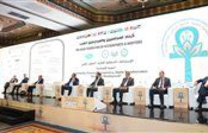 فريد: الاستدامة والشفافية المالية والتحول الرقمي ركائز أساسية لتحقيق النمو الاقتصادي الشامل والمستدام