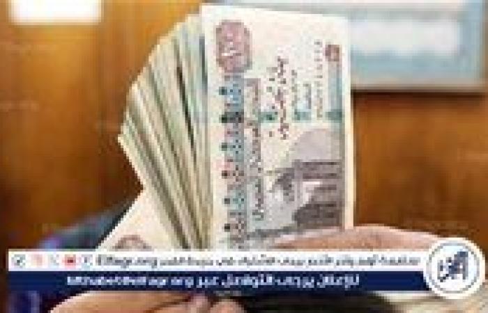 عاجل - حقيقة زيادة معاشات أكتوبر 2025.. «التأمينات» تكشف التفاصيل