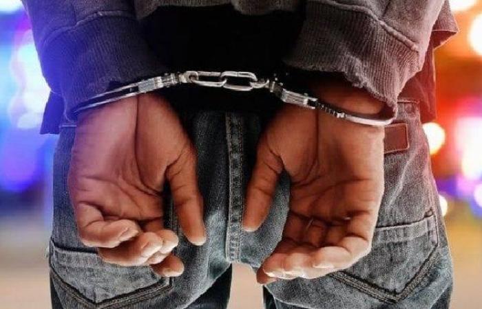 ضبط عاطل بتهمة بالاتجار في المواد المخدرة بالقليوبية