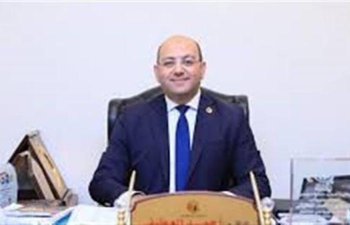 حماة الوطن: في عهد الرئيس السيسي مقاعد البرلمان ليست للبيع أو الشراء
