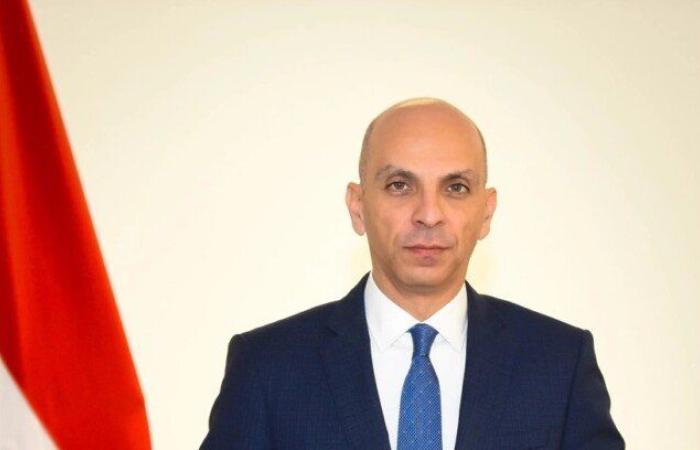 متحدث الخارجية: جهود مصرية مكثفة لحشد الاعتراف بالدولة الفلسطينية في الأمم المتحدة