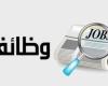 التقديم يبدأ غدًا.. «الكهرباء» تعلن عن وظائف جديدة