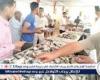 أسعار السمك اليوم الاربعاء 20-8-2025 في محافظة قنا