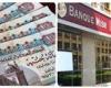 أعلى عائد على شهادات الادخار 2025.. احسب مكسب 100 ألف جنيه شهريًا وسنويًا