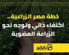 خطة مصر الزراعية.. اكتفاء ذاتي وتوجه نحو الزراعة العضوية | إنفوجراف