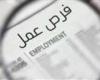 برواتب تصل إلى 60 ألف جنيه شهريًا..فرص ذهبية للممرضين المصريين للعمل في الإمارات