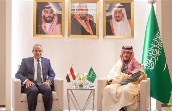 وزيرا خارجية مصر والسعودية يناقشان مؤتمر التعافي المبكر وإعادة إعمار غزة