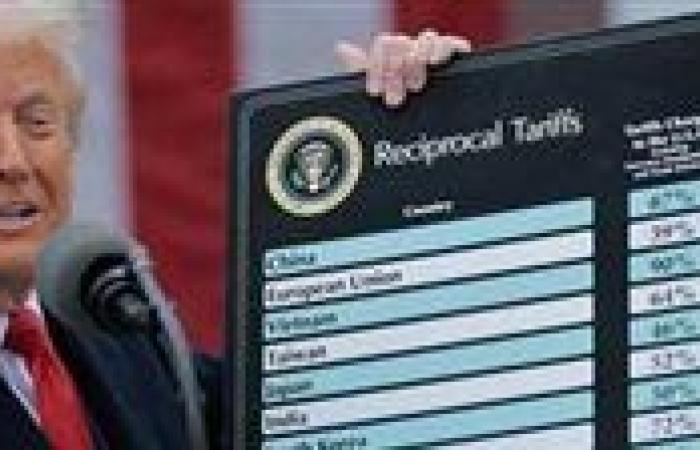 خبير اقتصادي يوضح تأثير فرض الرسوم الجمركية الأمريكية على دول العالم