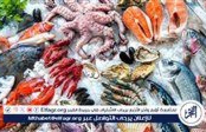 أسعار المأكولات البحرية والجمبري اليوم الأحد 6-7-2025 في محافظة قنا