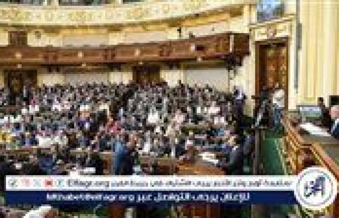 جدل برلماني بجلسة النواب بشأن تعديل قانون المهن الطبية