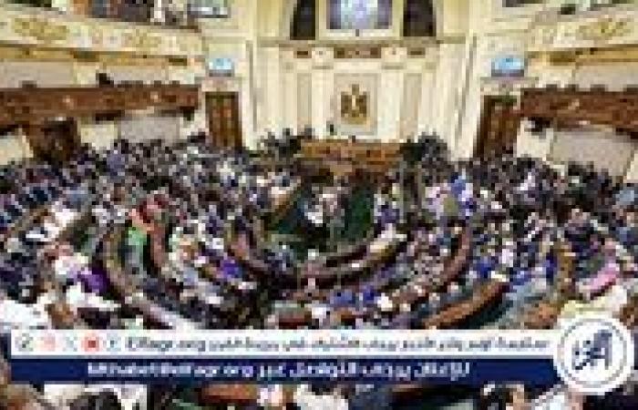 "النواب" يوافق على صرف حافز مناطق نائية من 200% لـ 600% لأعضاء المهن الطبية
