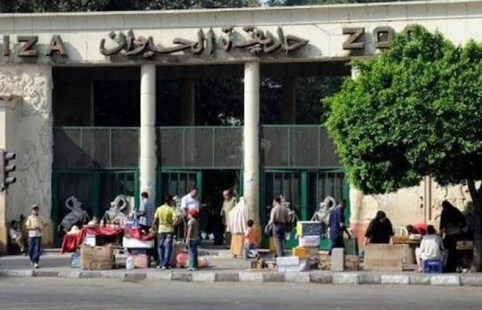 حديقة الحيوان بالجيزة تستعد للعودة بثوب عالمي في سبتمبر المقبل.. مشروع تطوير شامل يعيد للحديقة مكانتها الدولية..وتعيين وتدريب 60 متخصصاً في رعاية الحيوانات