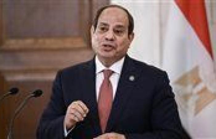 الرئيس السيسي يؤكد دعم مصر لمساعي تحقيق التوافق الوطني بالصومال