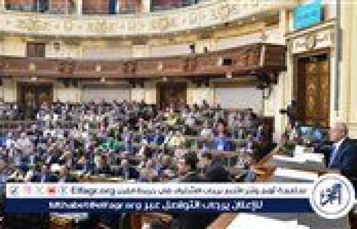 مجلس النواب يؤجل الموافقة النهائية على تعديل قانون المهن الطبية