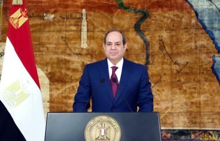 السيسي: ناقشنا مع الرئيس الصومالي تطورات القرن الإفريقي وأمن البحر الأحمر