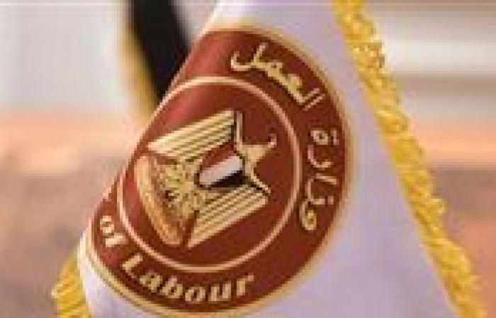 بمرتب يصل لـ450 دينارًا.. وزارة العمل تعلن عن وظائف في 19 شركة أردنية