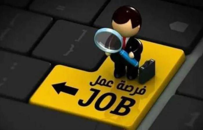 فرصة عمل مميزة في بنك بنك الاسكندرية-Alex Bank.. "التفاصيل وكيفية التقديم"