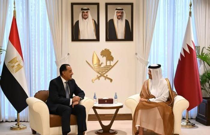 مصر وقطر تبحثان تطوير العلاقات الثنائية بين البلدين في مختلف المجالات