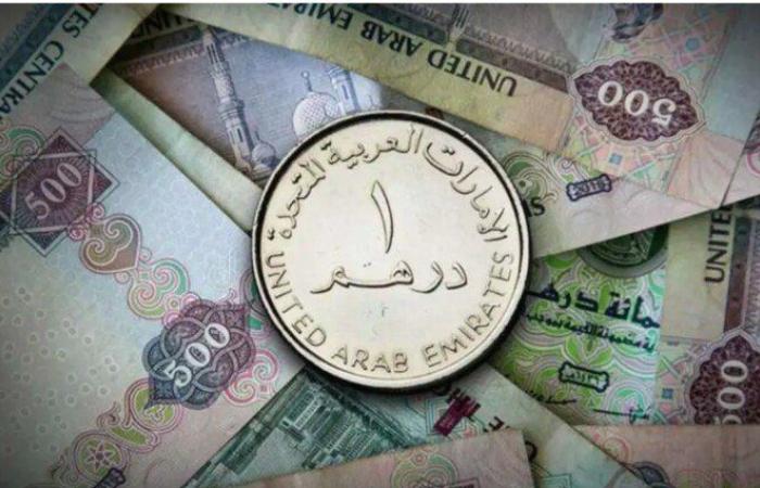 سعر الدرهم الإماراتي في مصر اليوم.. الثلاثاء 8 يوليو 2025
