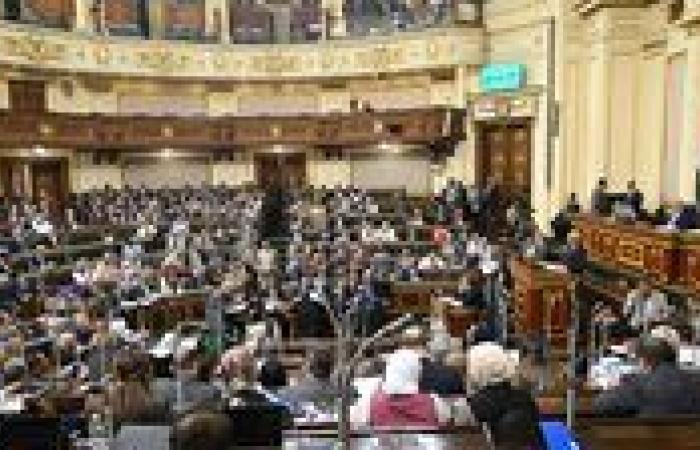 النائب محمد أبو زيد في ختام دور الانعقاد الخامس: هدفنا أغلبية ومعارضة مصلحة الوطن والمواطن