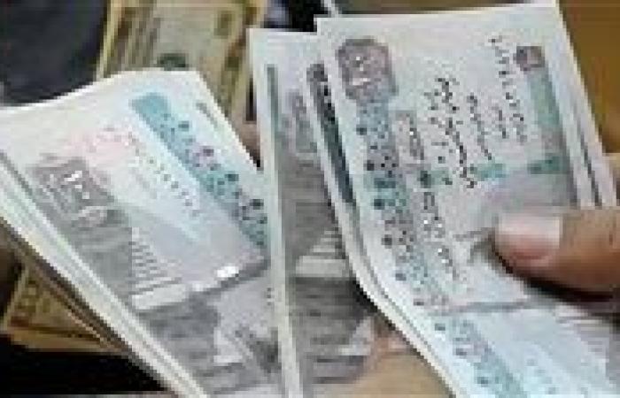 أبرز الفئات المستحقة.. طريقة الحصول على منحة المولد النبوي 2025