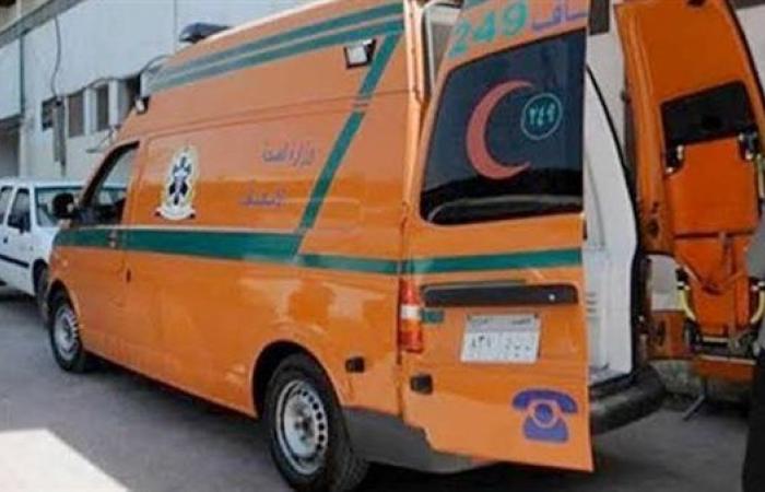 «نزيف في المخ».. كواليس مصرع طفلة دهستها سيارة بالجيزة