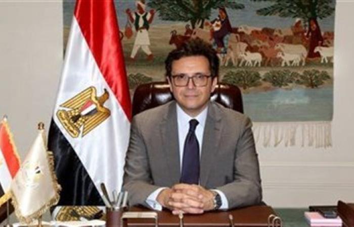 بعد 12 عامًا من الغياب.. بينالي الإسكندرية يُستأنف بقرار من وزير الثقافة ولجنة عليا جديدة