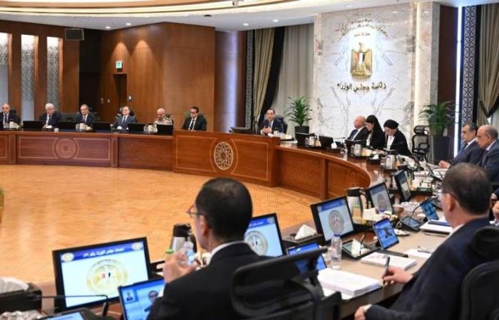 تكليف صندوق مصر السيادي بدراسة نقل ملكية 15 مبنى حكومي شاغر تمهيدًا لطرحها للاستثمار