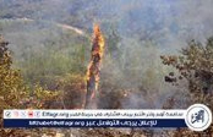 اندلاع حريق ضخم جديد في سهل الغاب بريف محافظة حماة السورية