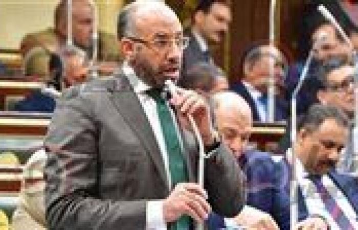 النائب حسام المندوه: الطالب مخير في اختيار نظام البكالوريا من عدمه
