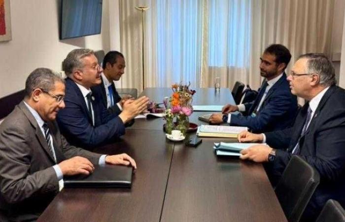 وزير البترول يلتقي رئيس مجلس الإدارة والرئيس التنفيذى لشركة توتال إنرجيز الفرنسية