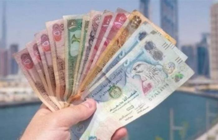 أسعار الدرهم الإماراتي مقابل الجنيه المصري اليوم.. استقرار قبل اجتماع البنك المركزي