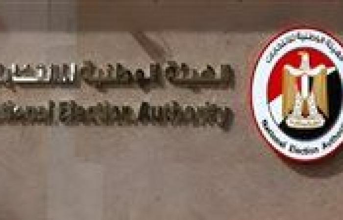 النائب هاني العسال: ضوابط الهيئة الوطنية تحافظ على إرادة الناخبين وتضمن انتخابات نزيهة وشفافة