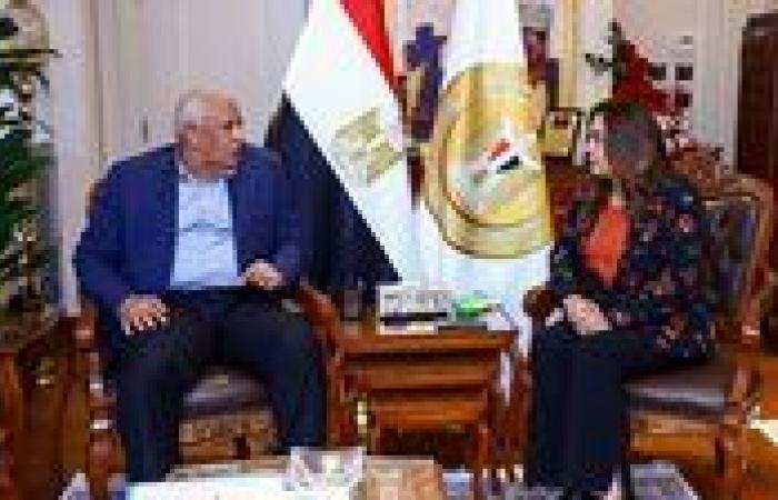 وزيرة التنمية المحلية تتابع مستجدات خطة إنشاء مركز الحرير بالوادي الجديد