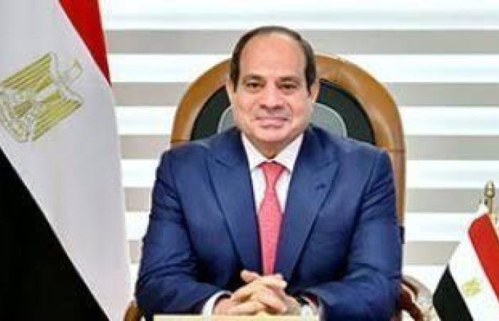 الرئيس السيسي: الدولة تتطلع لجذب المزيد من الاستثمارات الصينية في الطاقة الجديدة والسيارات الكهربائية