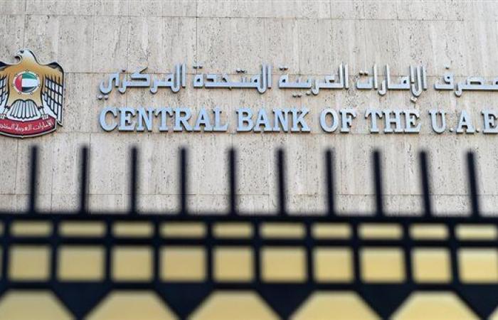 بسبب المخالفات المالية.. "المركزي الإماراتي" يقرر تغريم أحد البنوك 817 ألف دولار