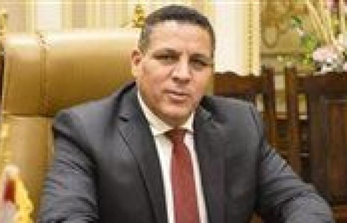 أحمد محسن: تصريحات الرئيس خلال لقاء رئيس مجلس الدولة الصيني تعكس رؤية استراتيجية لتعزيز الشراكة بين البلدين