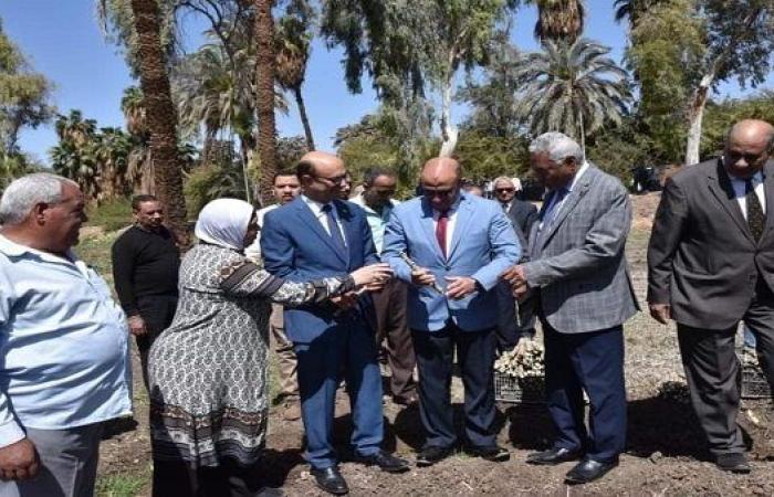 رئيس جامعة أسيوط يفتتح أول وحدة لإنتاج دقيق الكسافا لمرضى الحساسية