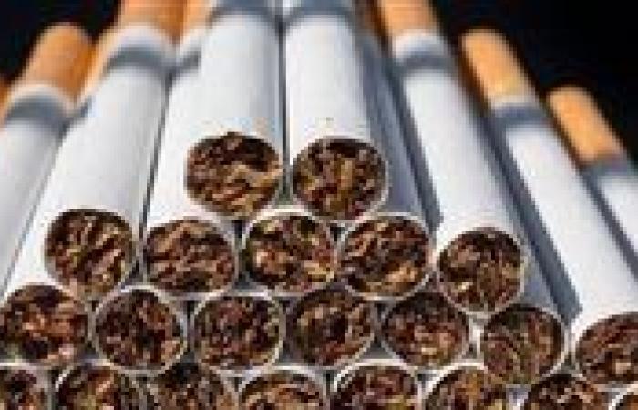 12% زيادة سنوية.. قائمة أسعار السجائر الجديدة في مصر حتى 2028 وموعد بدء التطبيق